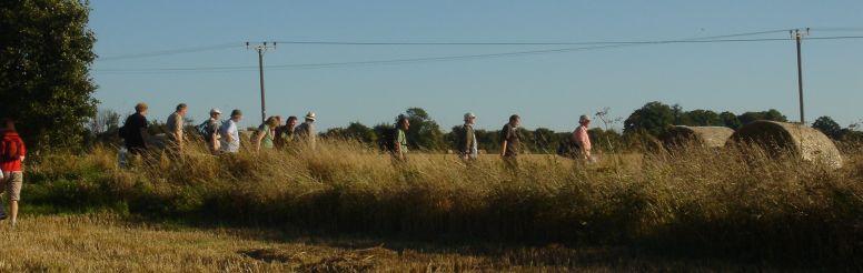 This is a link to some of the A Canterbury Tale Walks 